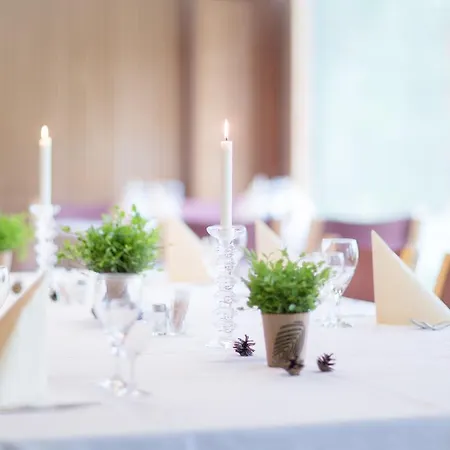 Hotell Hotel & Cottages Summassaari Saarijärvi